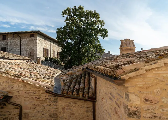 Palazzo Sbaraglini Nocleg ze śniadaniem 4*